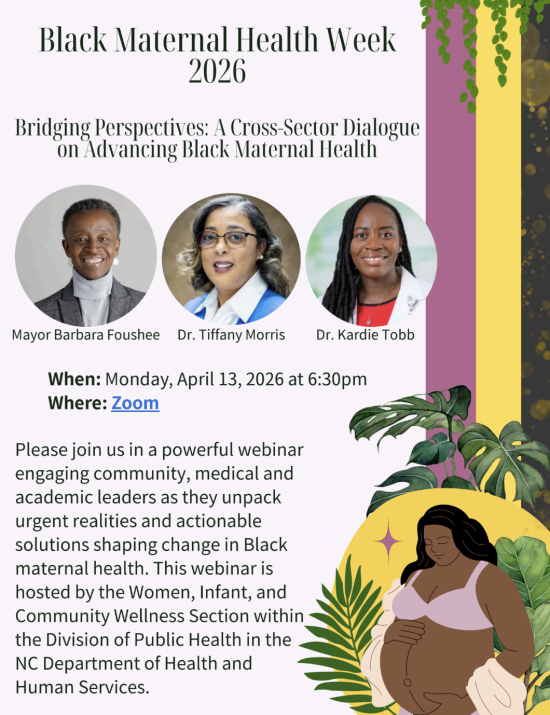 Bridging Perspectives: A Cross-Sector Dialogue on Advancing Black Maternal Health